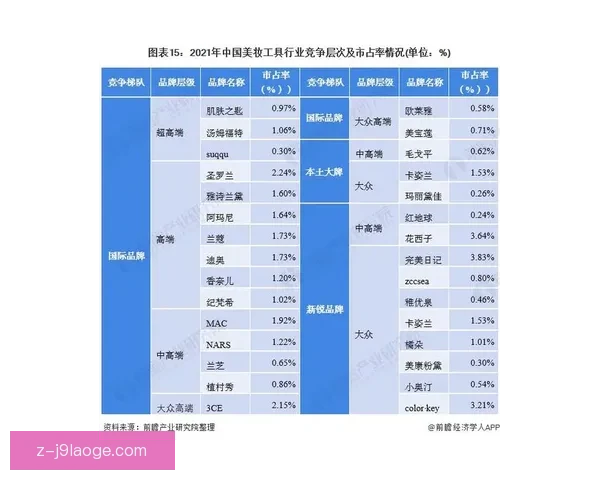 从数据看美洲杯球队攻防效率与胜负格局演变全景解析报告